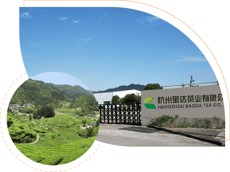 Hangzhou Baoda Tea Co., Ltd.