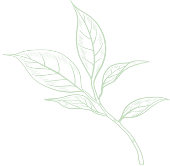 Hangzhou Baoda Tea Co., Ltd.