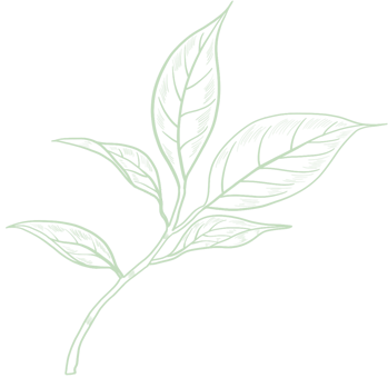 Hangzhou Baoda Tea Co., Ltd.